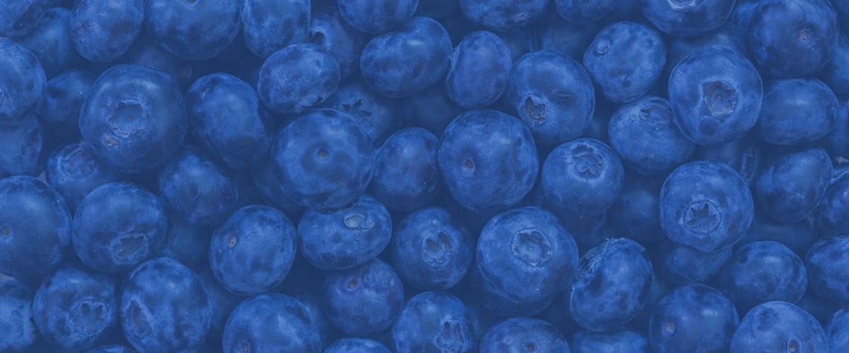 Parallax-blueberry