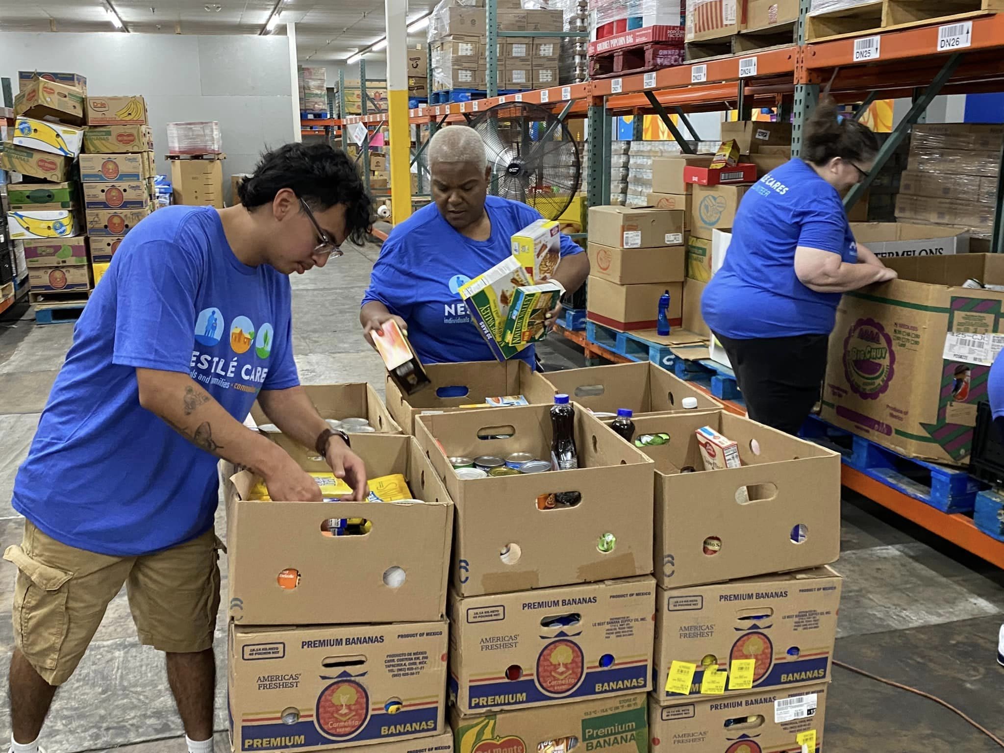 Nestle Vols 2024